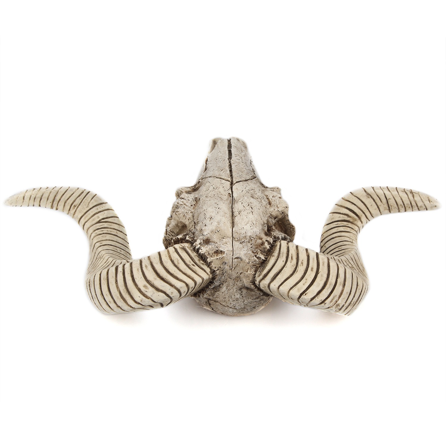 Sheep Horn Skeleton Wall Hanging Creative Home and Living Room Decoration Vintage Resin Crafts — image 4