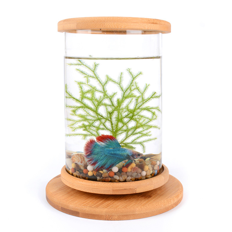 Acuario de Vidrio en Base de Bambú para Oficina Pequeña Decoración para Peces Mini — imagen 2