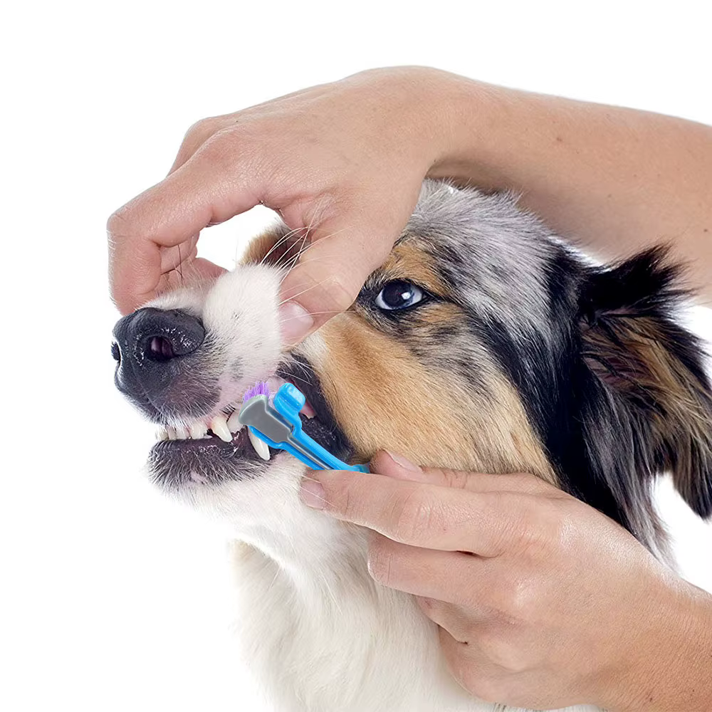 Dog Toothbrush Soft Pet Cat Toothbrush withThree Sided Dogs Rubber Tooth Brush Bad Breath Tartar Teeth Tool Pet Accessories — image 5