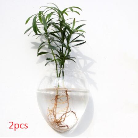 Vaso de Vidrio para Terrario Decorativo en Línea - Jardín Acuático para Hogar — imagen 65