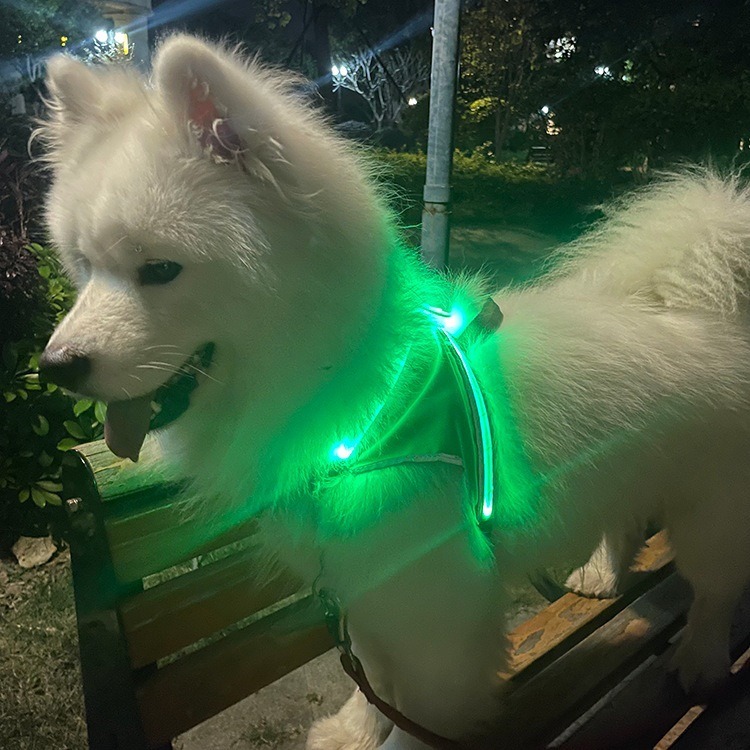 LED Pet Light-Emitting Sling Detachable Dog Reflective Sling Anti-Breakaway Cat Sling USB Charging Models — image 3