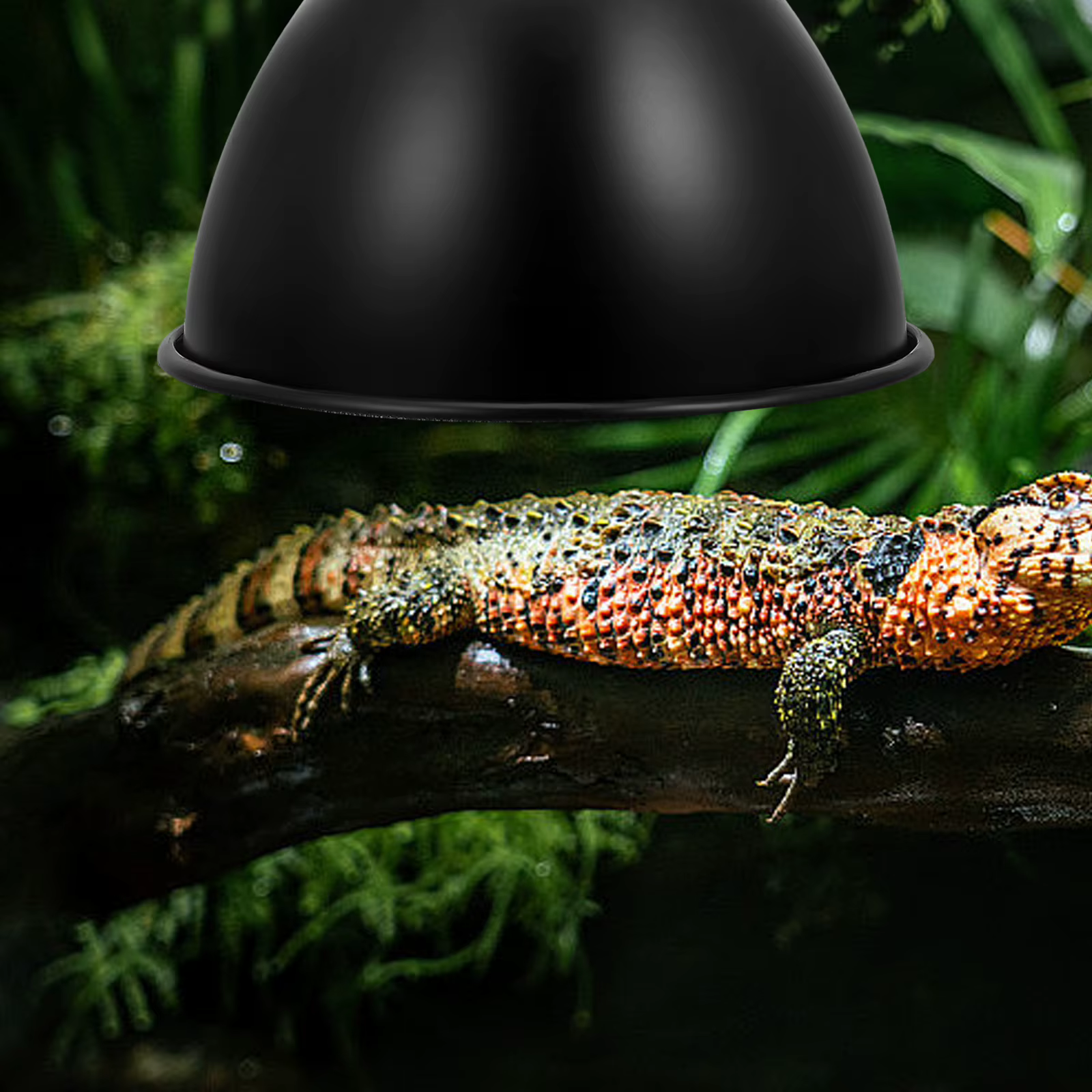Lámpara de Calor Reflectorio para Reptiles - Soporte de Lámpara de Hierro — imagen 5