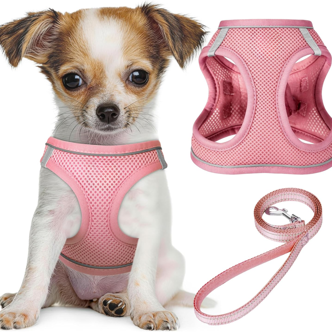 Cinturón y Correa Reflejos para Perros Pequeños - Vestido de Redes Ligeras — imagen 1