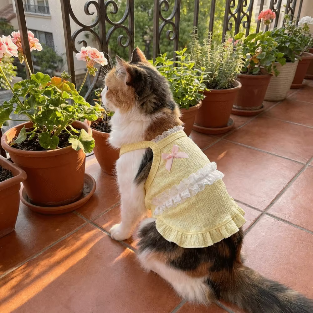 Vestido de Tanque para Mascotas - Top Ligero Floral con Encaje para Perros y Gatos — imagen 4