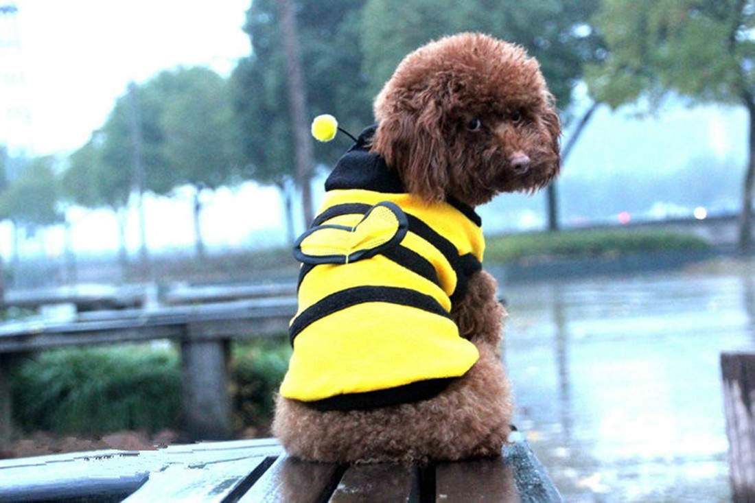 Pet Clothes Cute Bee Dress Dog Clothes Teddy Two-legged Dog Clothes Hooded Fleece — image 6