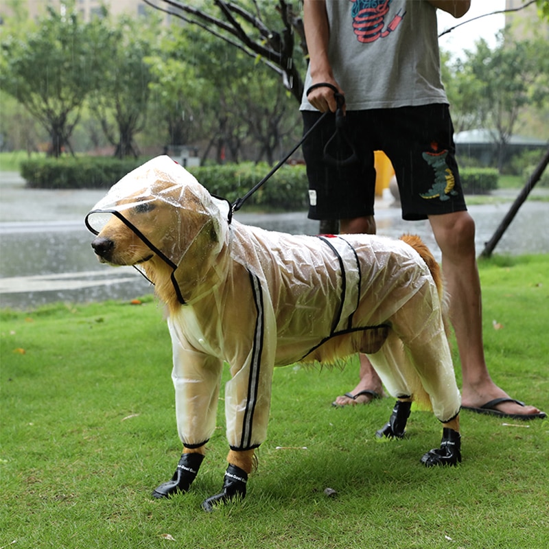 Chaquetón de Lluvia para Perros Grande - Transparente, Impermeable y Ligero para Pequeños y Grandes Canes — imagen 3