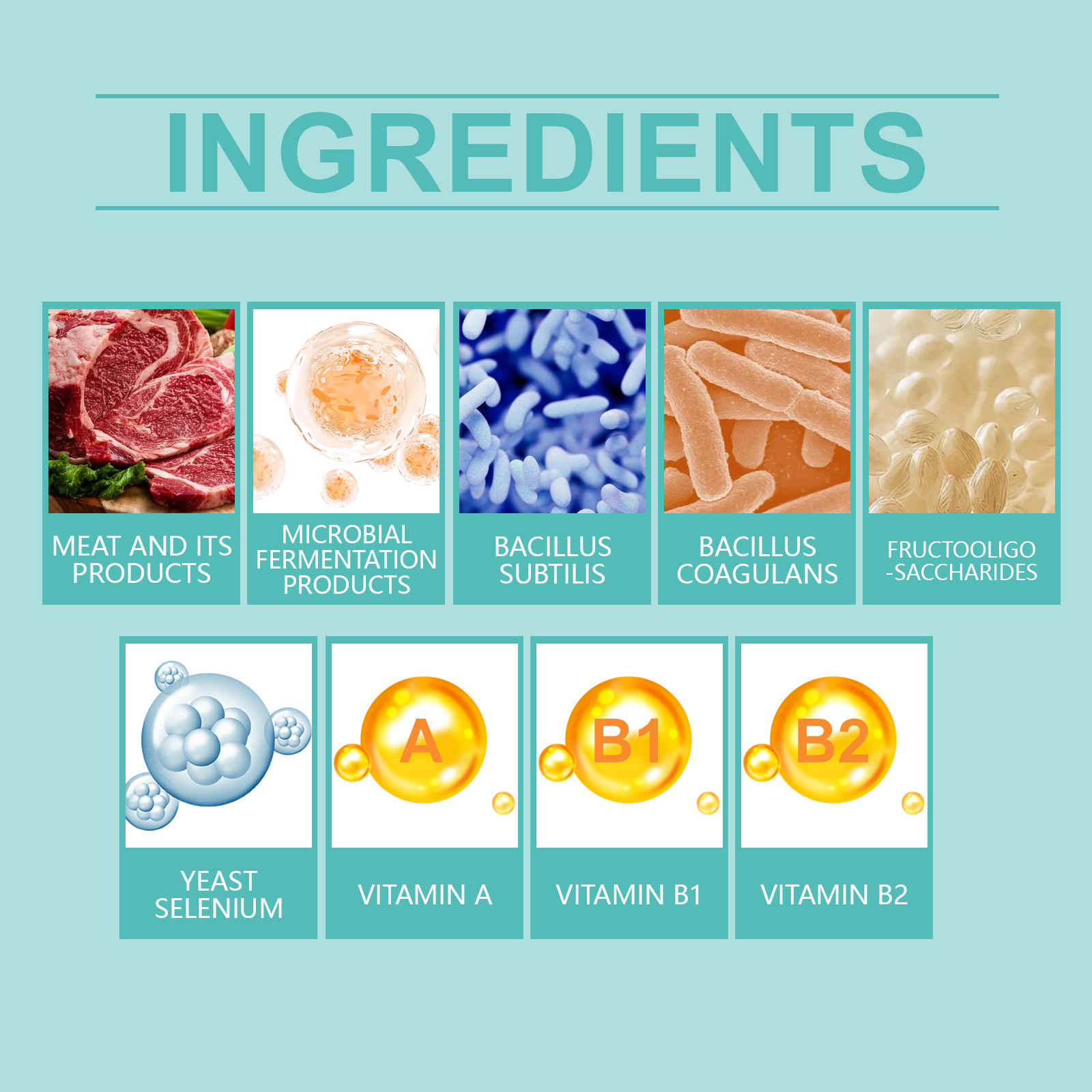 Suplementos Probióticos para Gatos en Tabletas - Apoyo a la Salud Intestinal y Digestiva con Vitamina B2 y Selenio, Cuidado Inmunológico, Piel y Visión — imagen 3