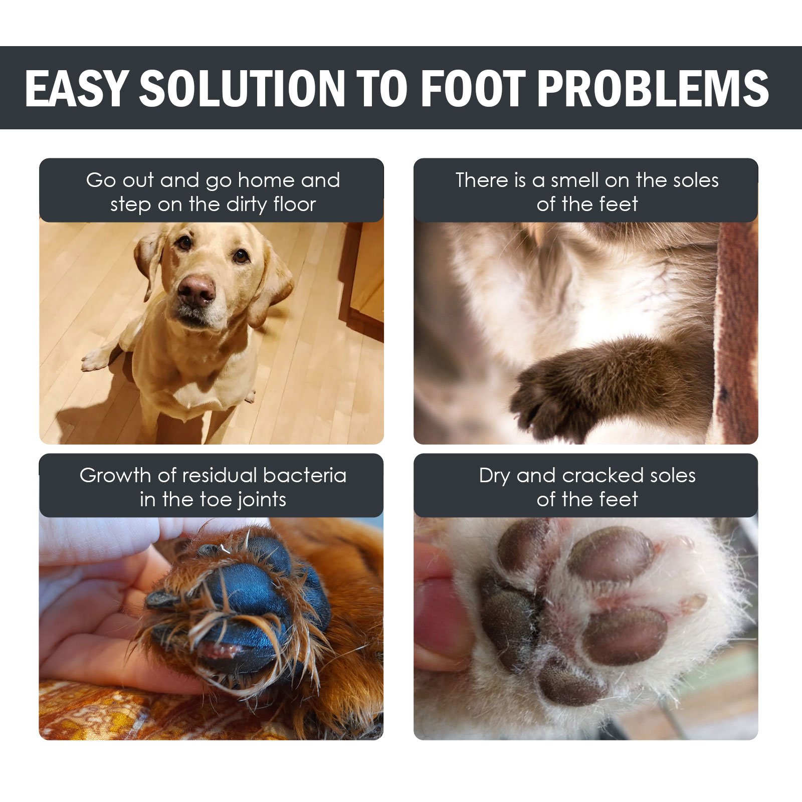 Yegbong Pet Paw Cleaner, Dog Cat Paw Cleaning Foot Care Cleaner — image 5