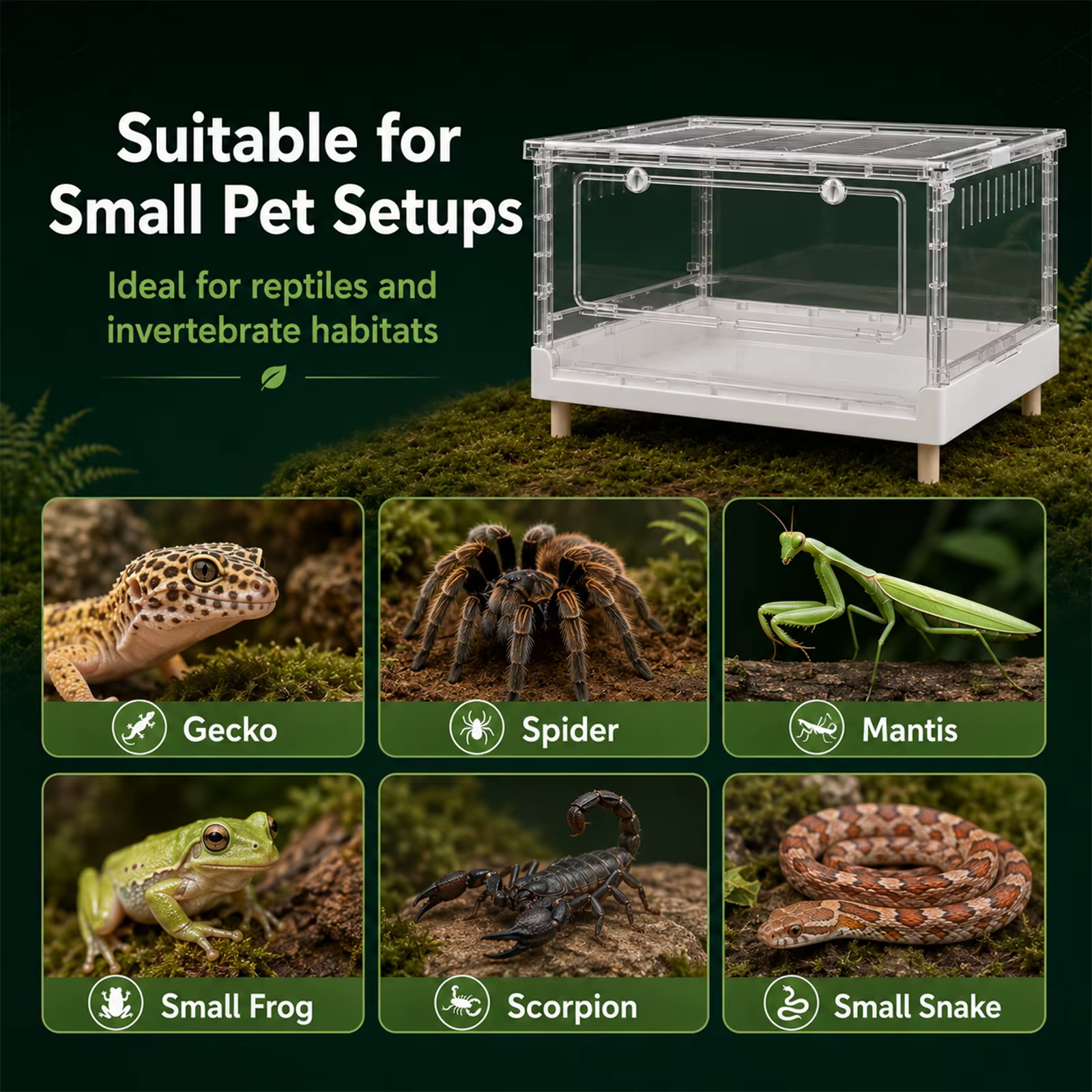 Terrario de Acrílico para Reptiles con Puerta de Apertura Frontal, Jaula Hábitat Plegable con Caja de Ventilación Transparente, Recinto Portátil de Fácil Acceso, Ideal para Reptiles, Anfibios, Arácnidos, Tortugas, Ranas y Hámsteres — imagen 3