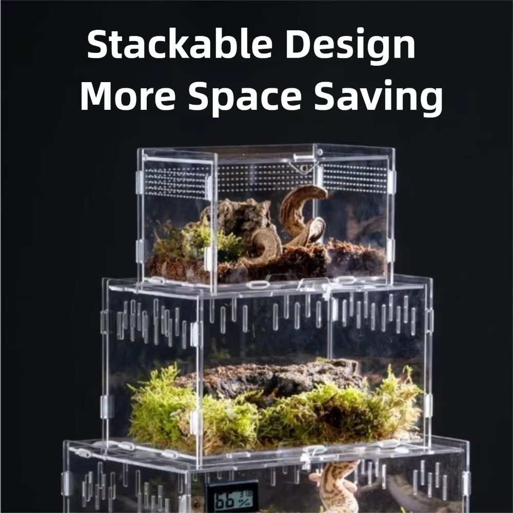 Caja de Acuario para Reptiles Anti-Evasión Claro para Arácnidos y Pequeños Animales, Diseño Moderno Transparente — imagen 4