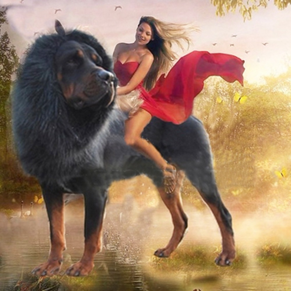 Disfraz divertido de león para perros con pelaje artificial — imagen 4