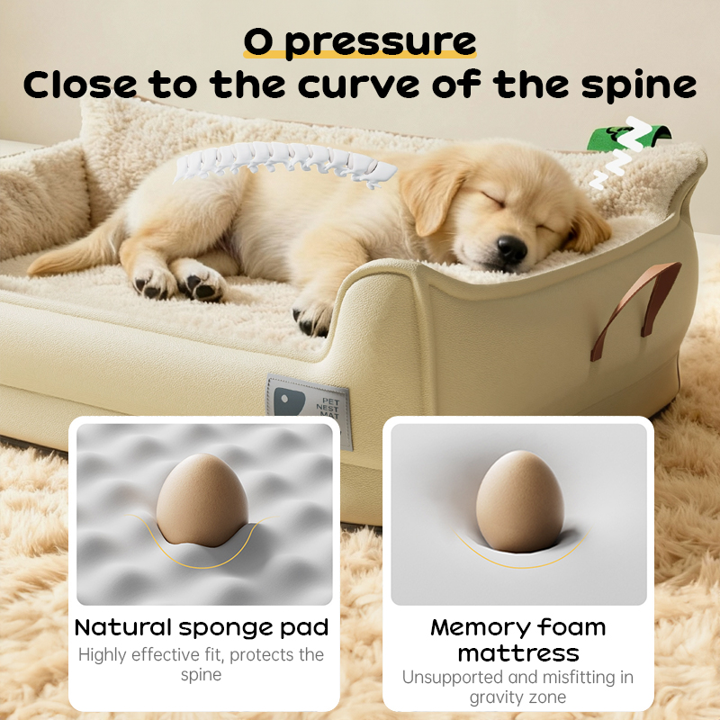 Heavy-Duty All-Weather Dog House: Chew-Resistant, Portable & Washable for Medium/Large Dogs — image 7
