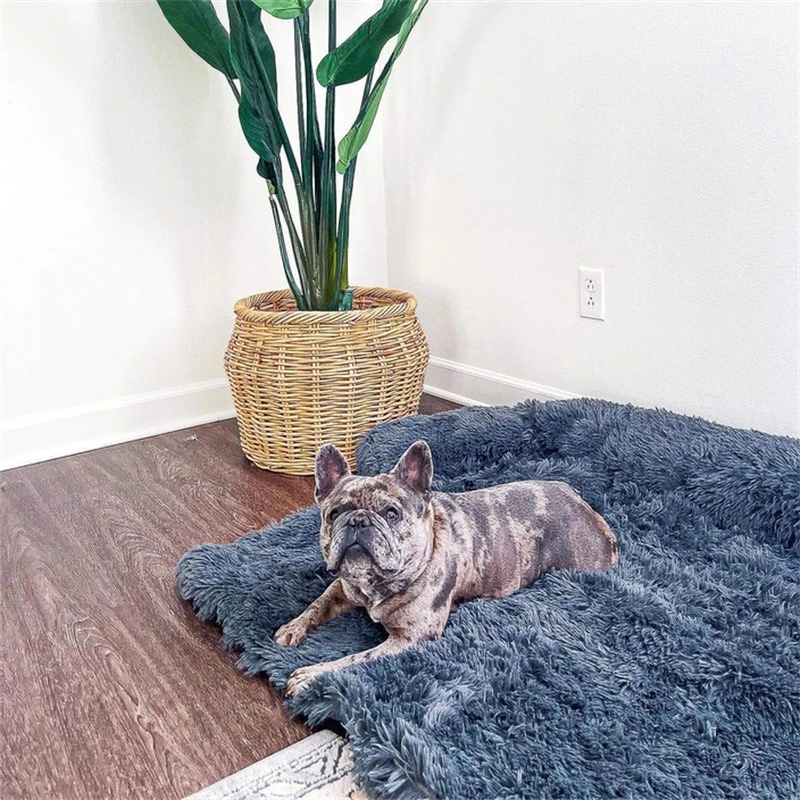 Cama para Perros — imagen 5