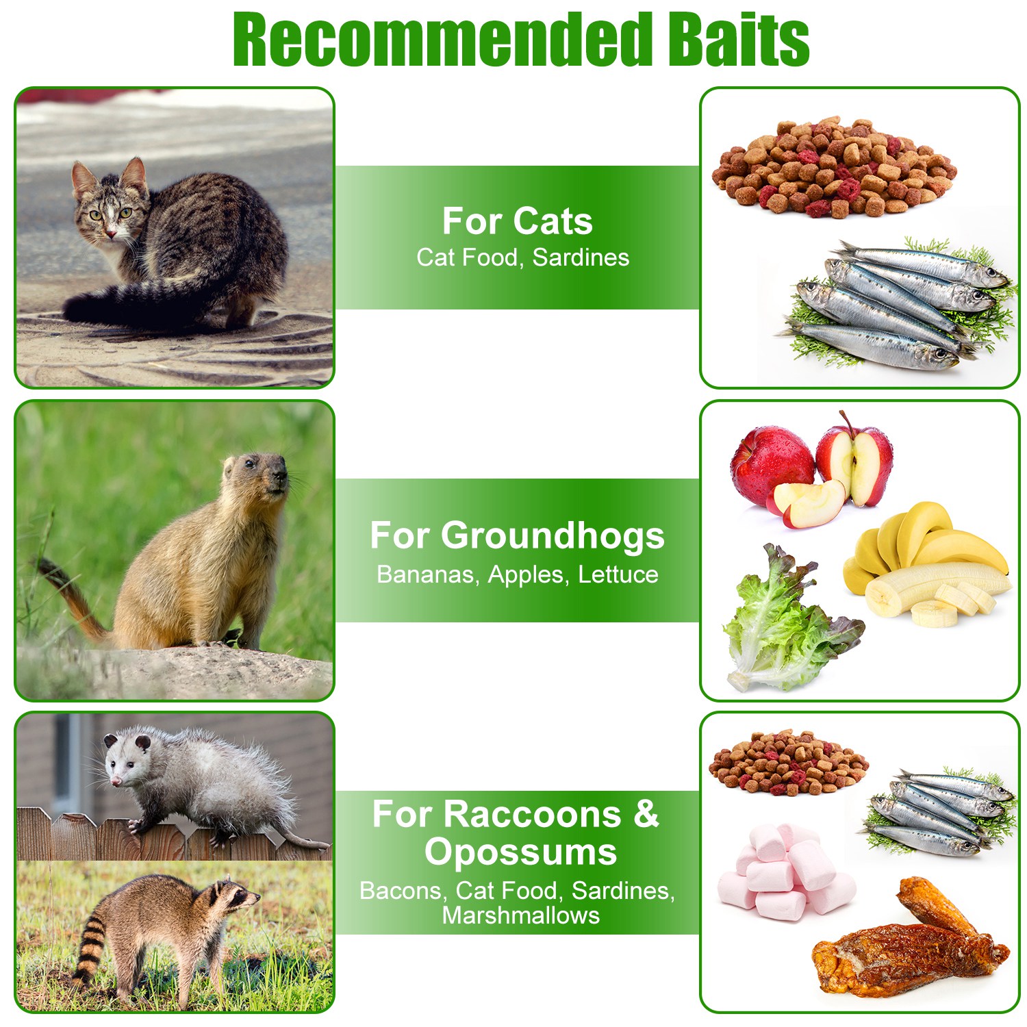 Humane Cat Trap Cage With Gloves Catch Release Live Animal Rodent Cage Collapsible Galvanized Wire For Raccoons Beavers Groundhogs Foxes Armadillos — imagen 12