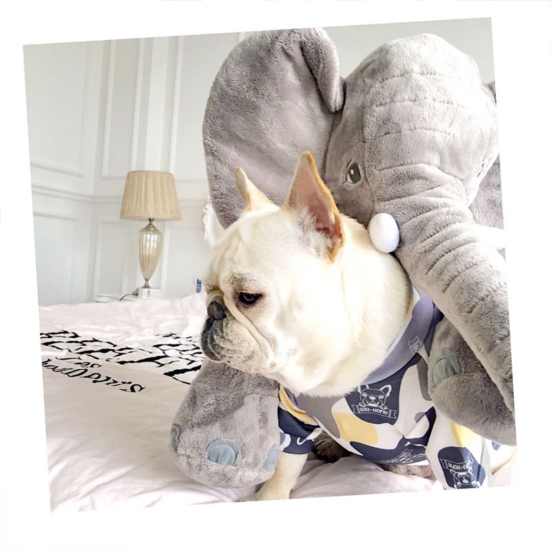 Dog Clothes for Small Dogs French Bulldog Vest Summer Pet Clothing for Chihuahua Petite Dog Clothes Puppy Apparel XS-XL — image 2