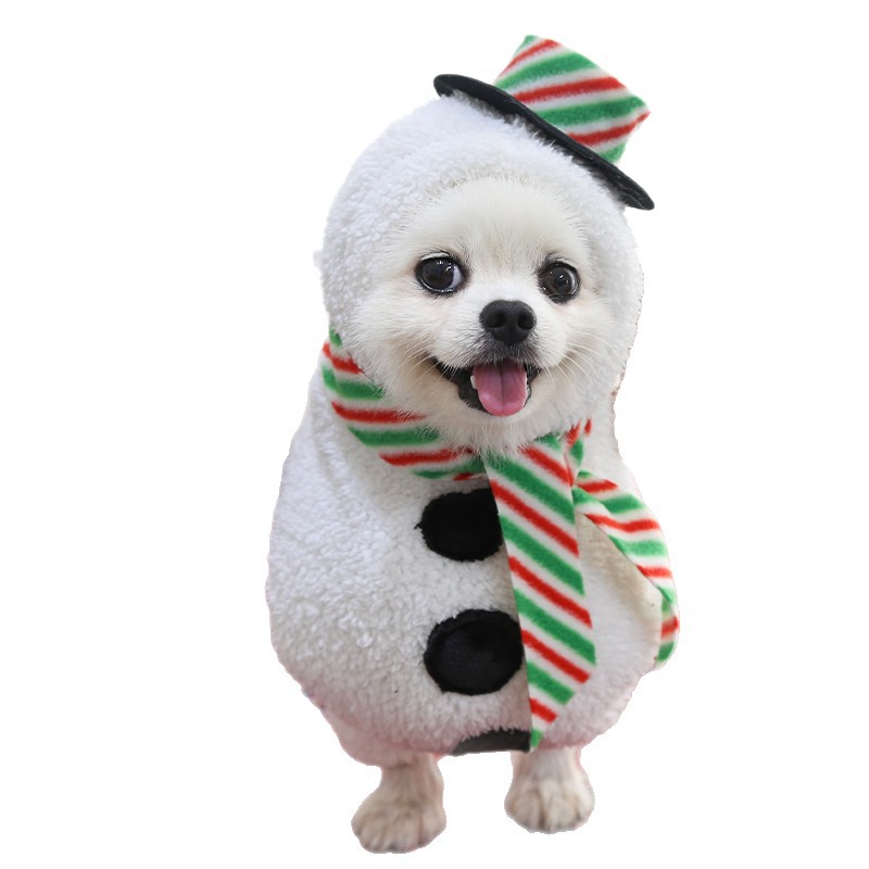 Pet Costume Outfit for Small Medium Dogs Cats Teddy Bichon Corgi Schnauzer Pomeranian — image 6