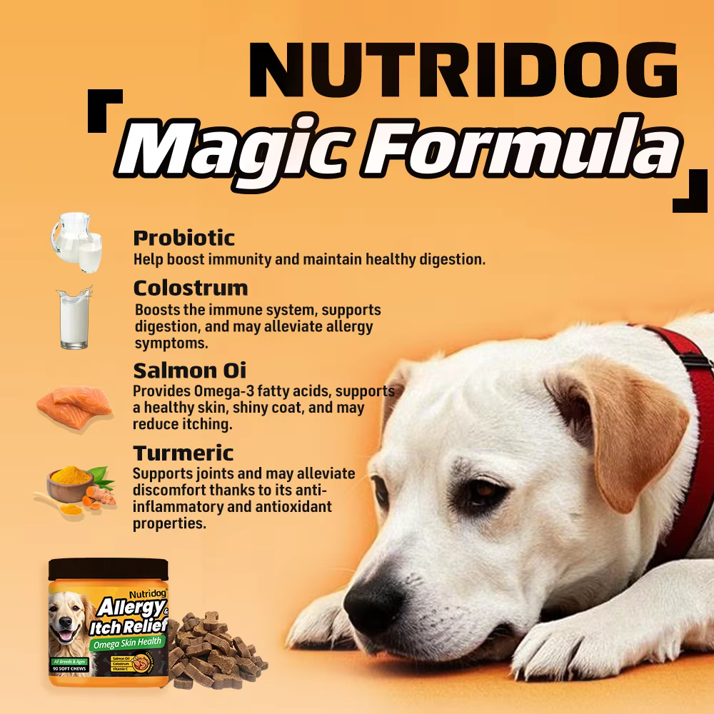 NUTRIDOG Dog Allergy Itch Relief Chews Omega-3 Vitamin C Support Skin For Dog Immune Health Supplement Nutrition 90 PCS/Bottle — image 4