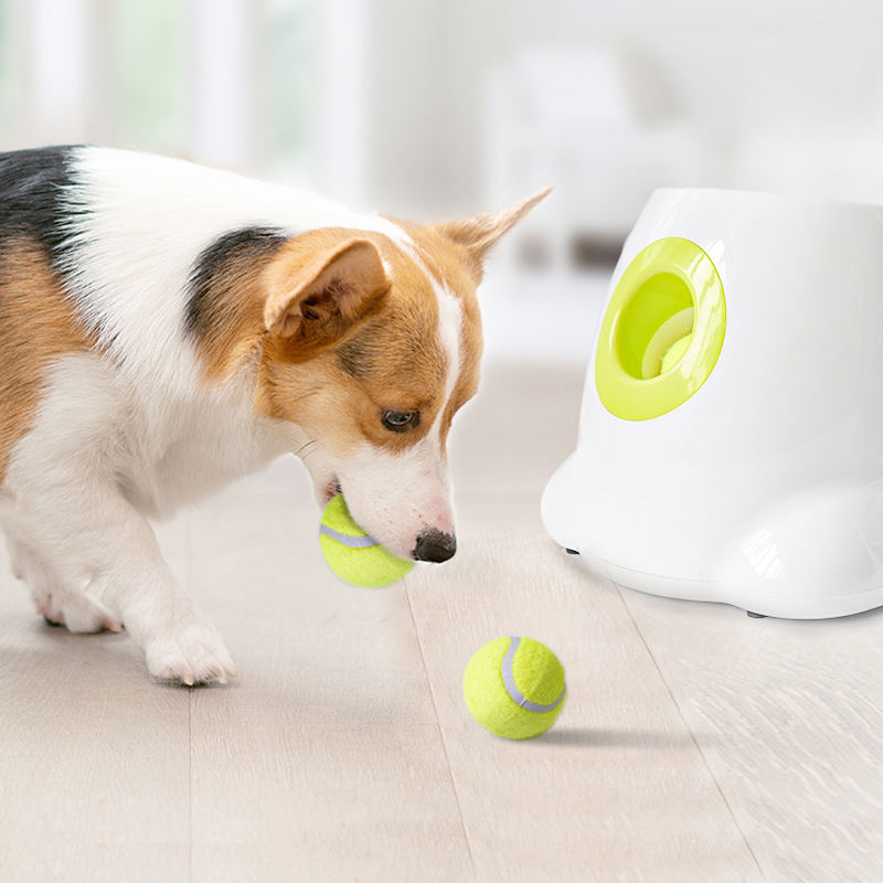 Lanzador Automático de Pelotas para Mascotas Interactivo con Red y Bola — imagen 2