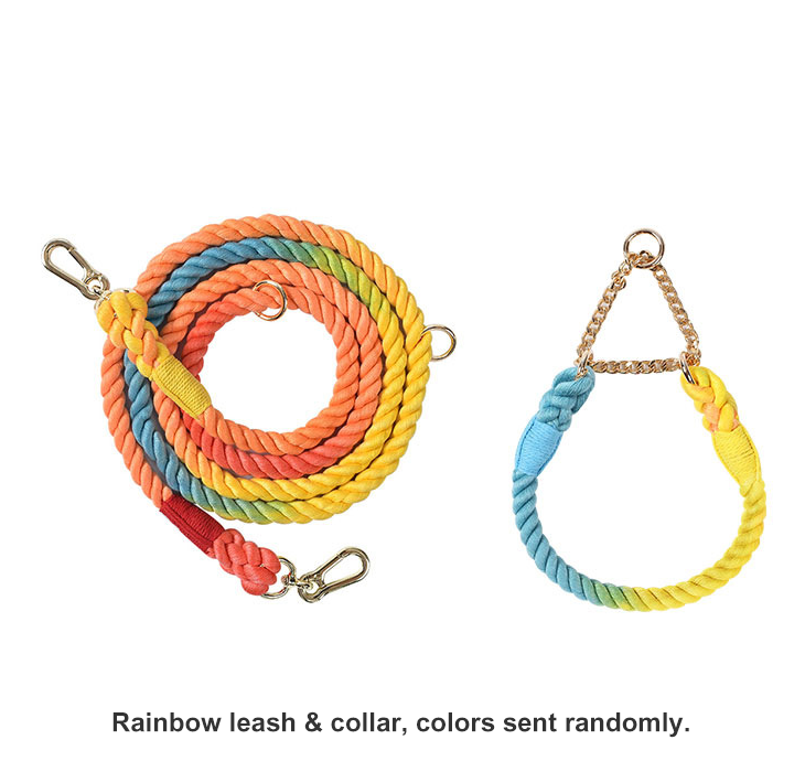 Braided Colorful Pet Dog Leash with P-Chain Collar for Medium and Large Dogs — image 2