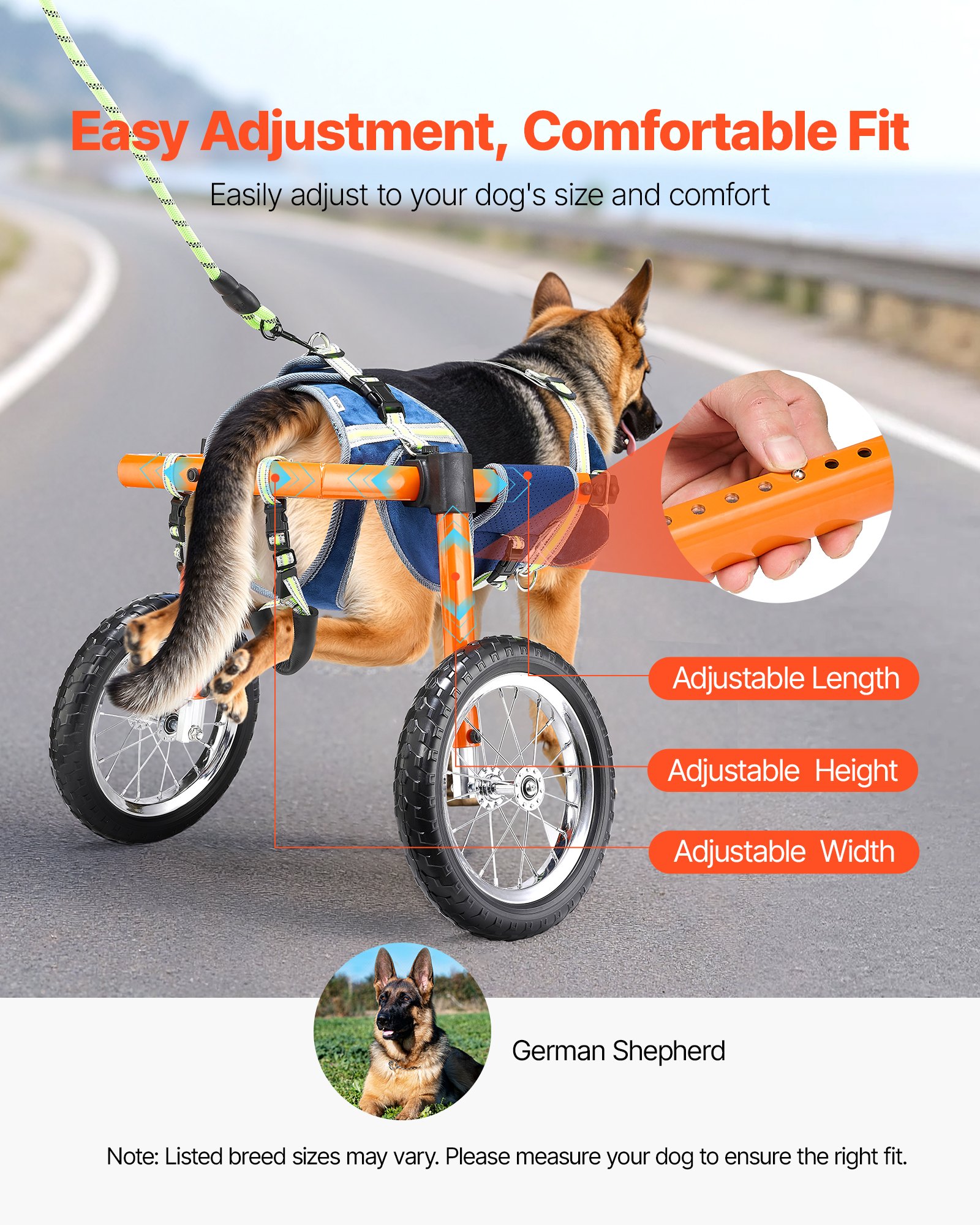 Silla de Ruedas para Perros con Patas Traseras, Ligera 2 Ruedas - Ajustable en Altura, Ancho y Largo — imagen 4