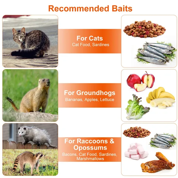 Humane Cat Trap Cage Catch Release Live Animal Rodent Cage Collapsible Galvanized Wire For Small Raccoons Beavers Groundhogs Foxes Armadillos — imagen 3