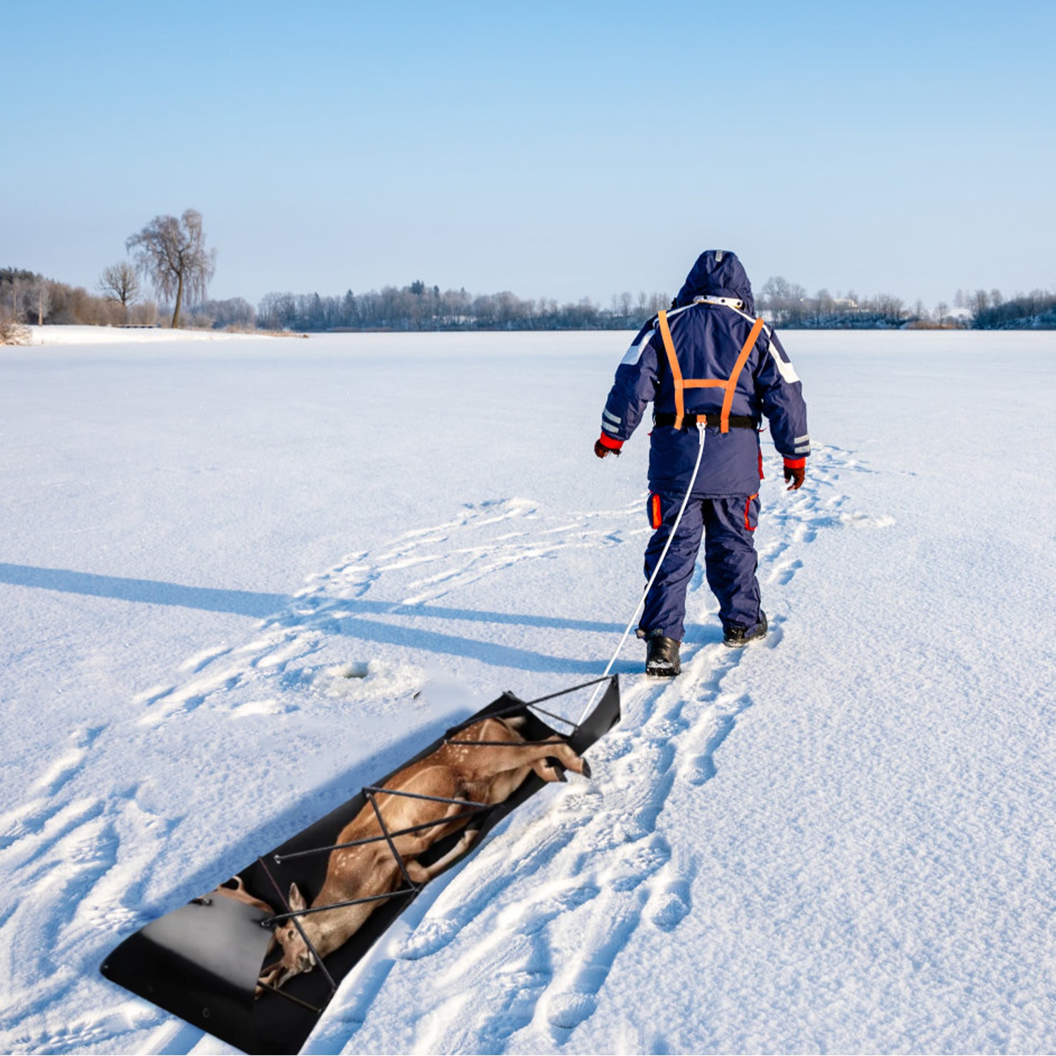 Deer Drag Sled With Dragging Harness Deer Cart Game Hauler Snow Sledding Pad Hunting Gear Supplies With 32.8FT Black Rope 16.1FT White Rope For Hunting Ice Fishing Hauling Fire Wood — imagen 3