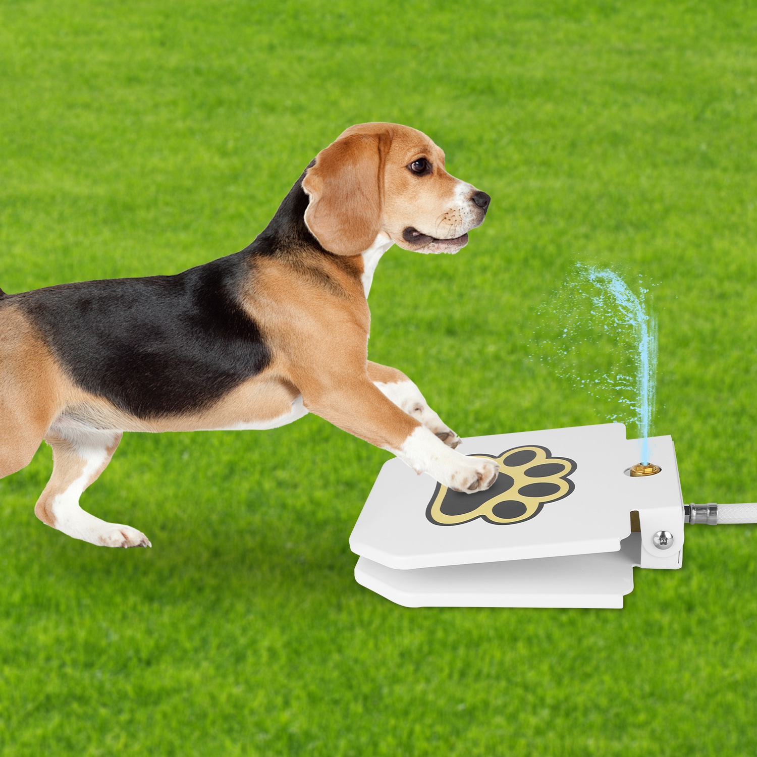 Fuente de Agua para Perros de Exterior, Dispensador de Agua para Mascotas con Aspersor Activado por Pedal, Pedal de Pata Interactivo para Beber Agua — imagen 10