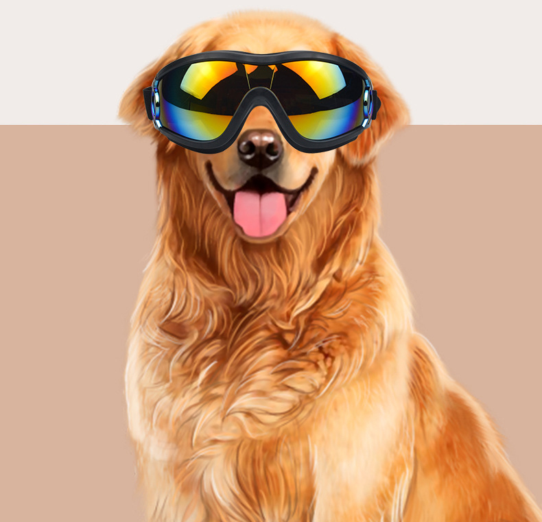 Gafas para Mascotas a Prueba de Viento y con Protección UV — imagen 1