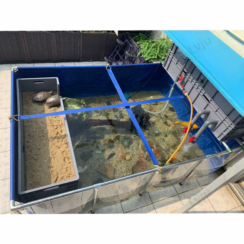 Tanque Completo para Peces Betta Accesorios de Acuario Marino — imagen 2