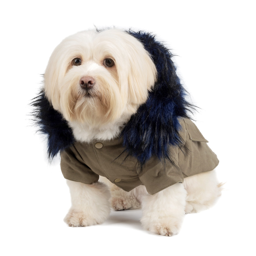 Autumn And Winter Pet Fur Collar Military Coat Faux Fur Warm Belt Buckle Quilted Dog Coat — image 5