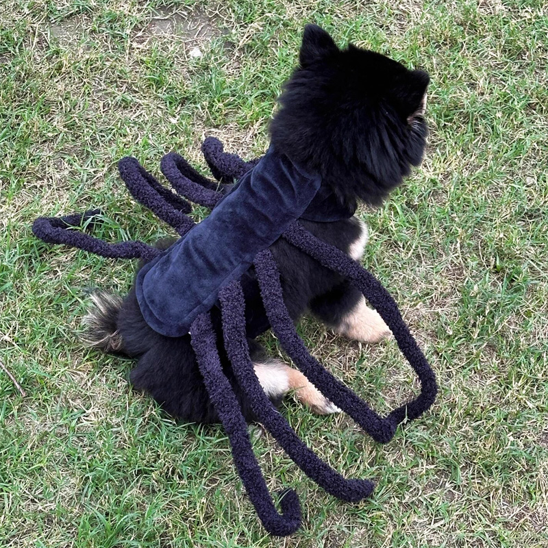 Spider Back Design Pet Halloween Costume – Fits Cats, Small/Medium Dogs & Puppies — image 2