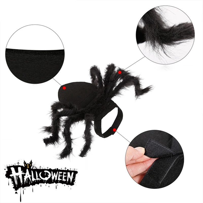 Ropa de Araña para Mascotas: Disfraz de Halloween para Perros y Gatos con Pelo Largo Negro — imagen 5