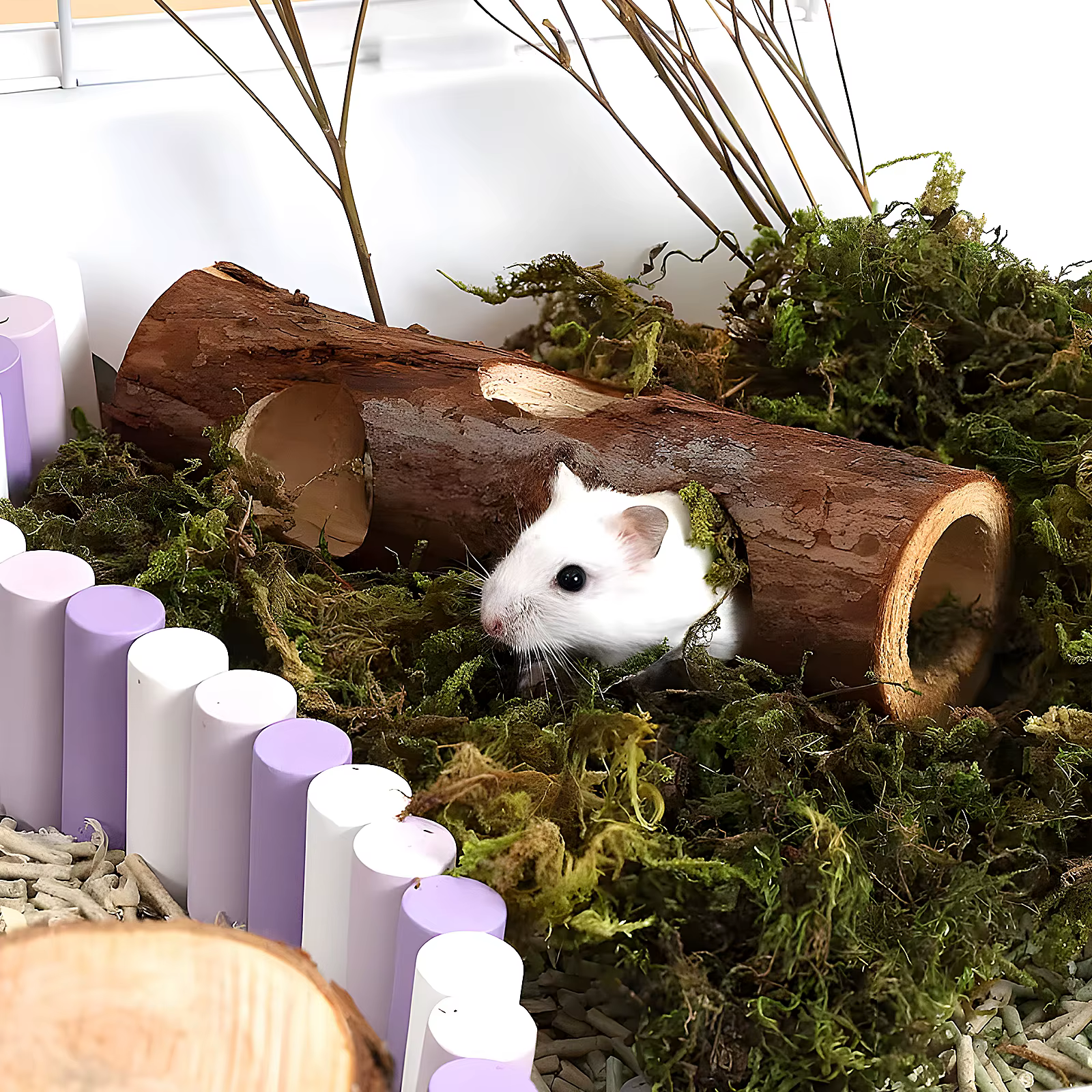 Túnel de Madera Natural para Ratones y Camarones: Bosque de Árbol Hollow — imagen 4
