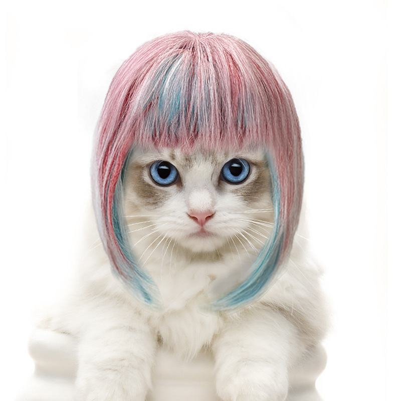 Disfraz de pelo largo colorido para mascotas, estilo princesa para gatos y perros — imagen 2