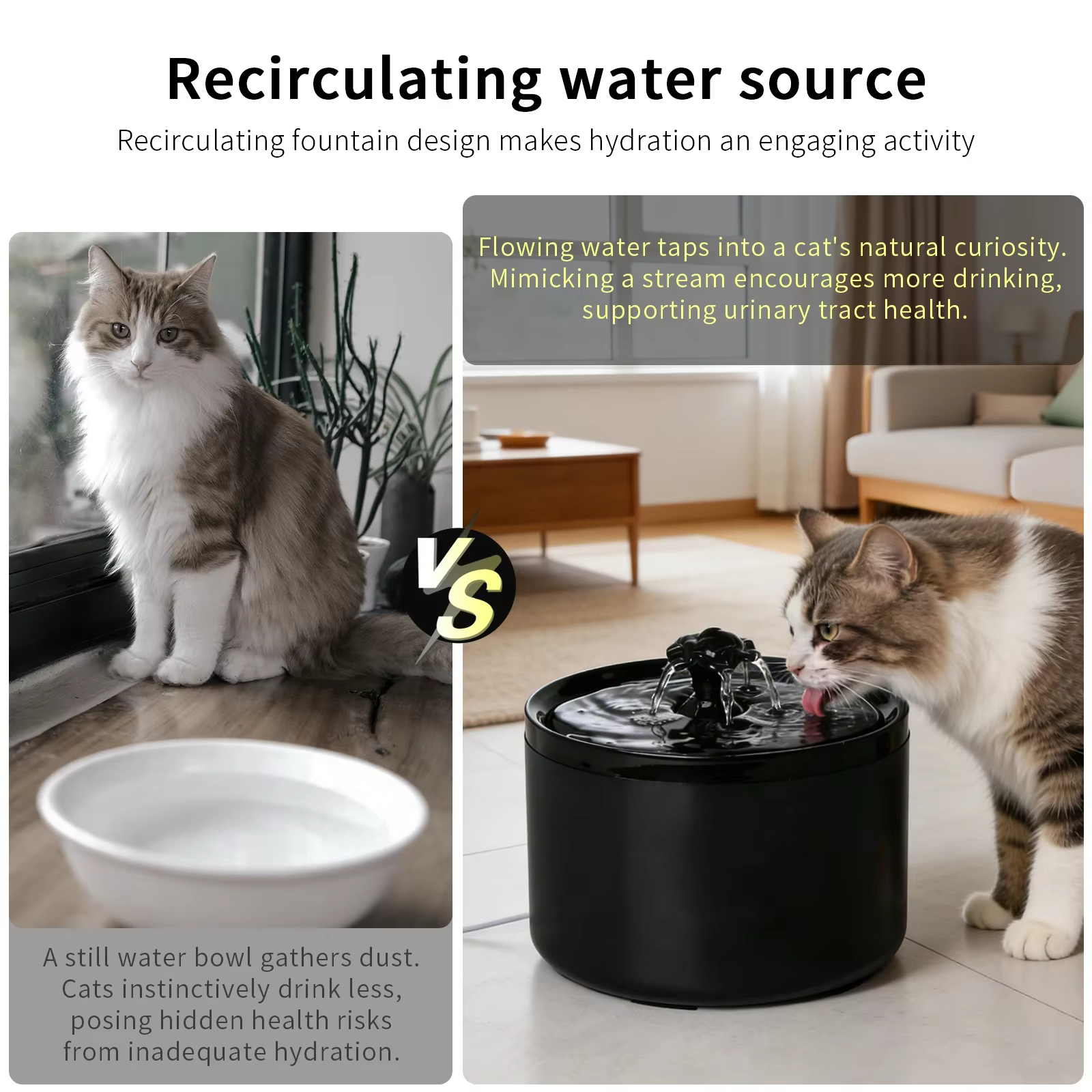 Fuentes de agua para gatos: fuente automática con circulación y filtrado silencioso — imagen 4