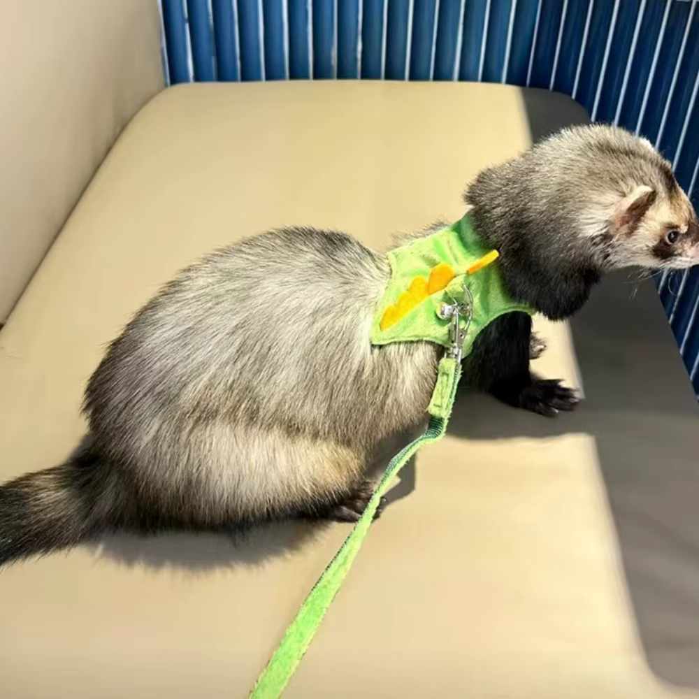 Soft Cartoon Ferret Vest Harness Adjustable Flannel Hamster Chest Strap Dragon Design with Bell Ferret Traction Rope Training — image 4