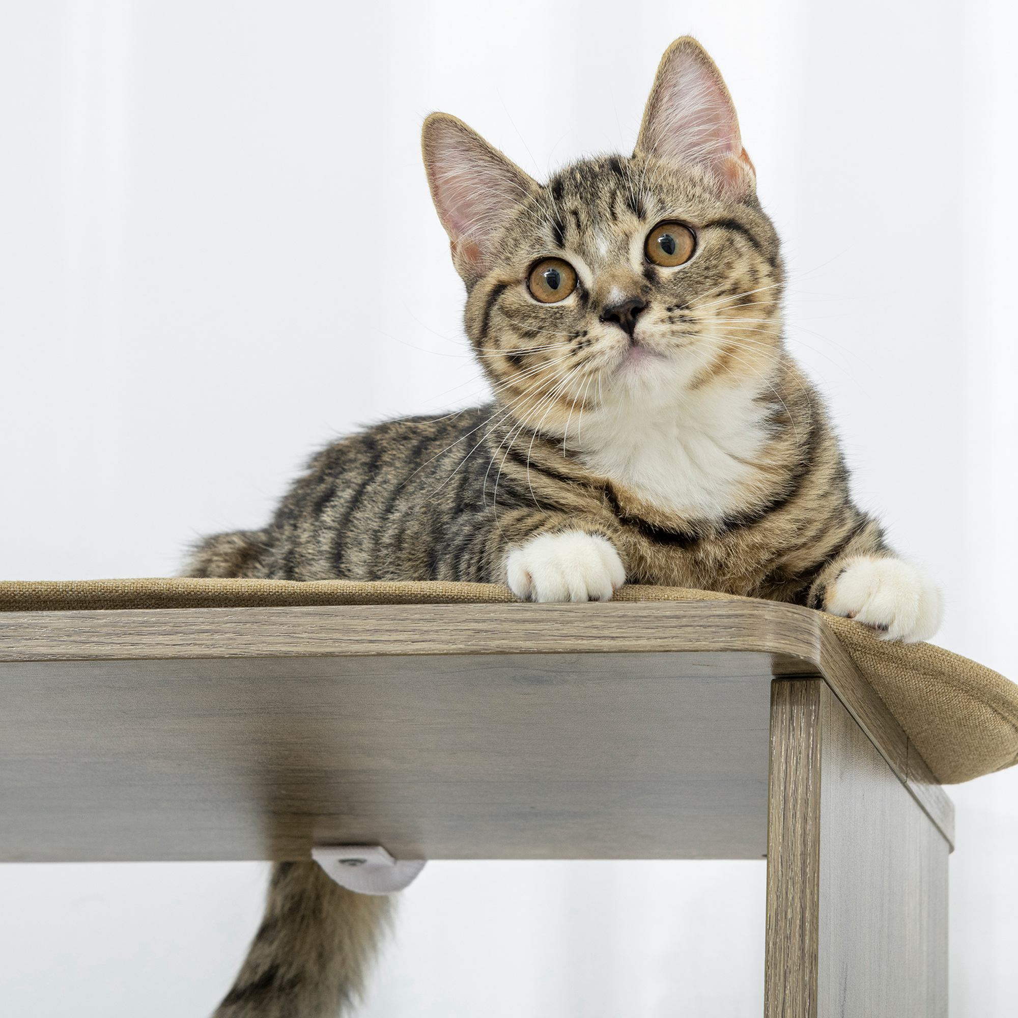 Árbol para Gatos de Esquina Moderno y Alto de 65" para Trepar, Torre Multinivel Grande con Postes Rascadores, Torre Compacta para Gatitos con Sisal, Blanco Crema — imagen 8