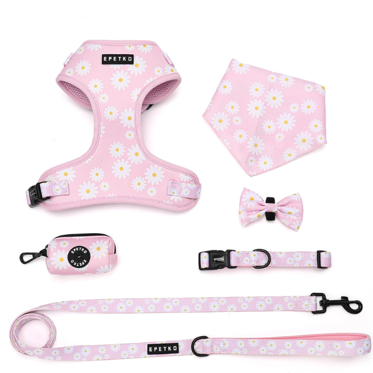 Small Dog Harness And Leash Set Of 6, No Pull Soft Lightweight Mesh Puppy Harness, Adjustable Cute Floral Pattern Pet Harness For Small Medium Dogs — image 1
