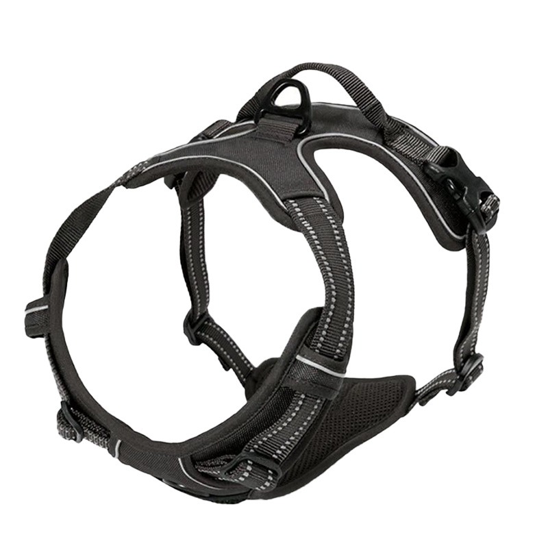 Cinturón de Pecho para Perros con Cierre Antichar y Cordel de Traction — imagen 20