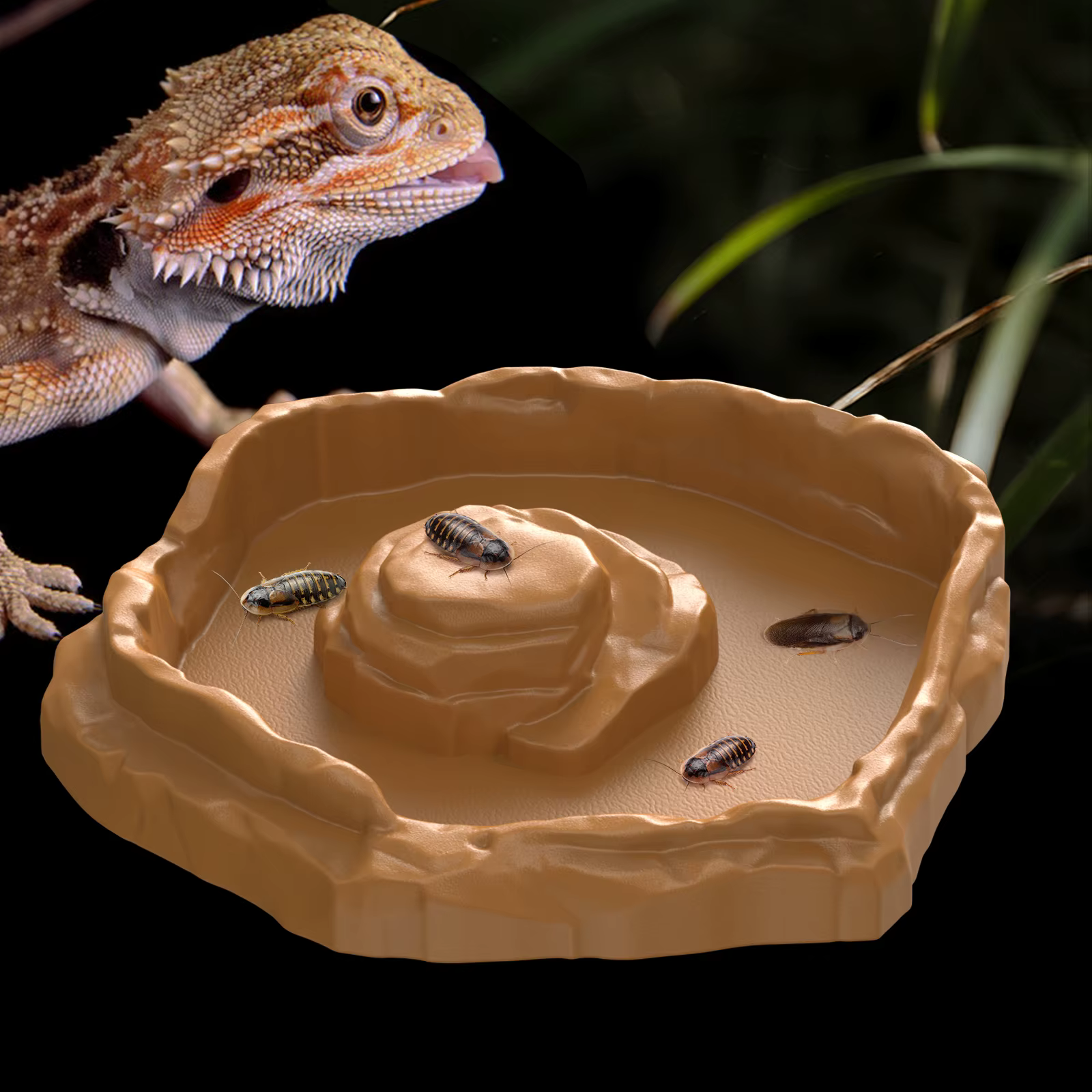 Basín de alimentación tropical para reptiles, baño para ranas, ideal para lagartos, gecos, serpientes, tortugas, anfibios — imagen 5
