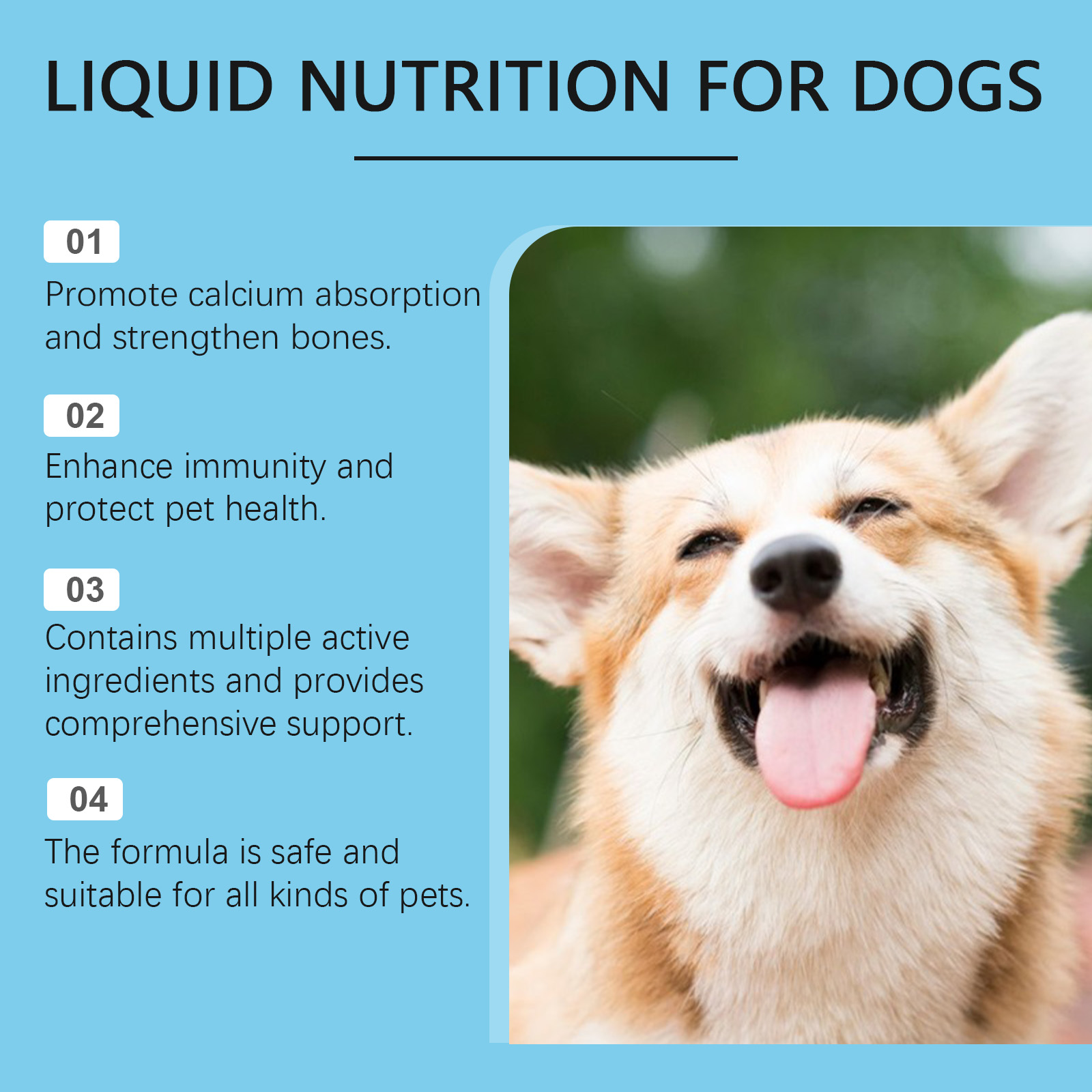 Pet Vitamin Supplement Drops Enhance Immunity And Promote Vitality Healthy Dietary Supplement Drops — imagen 3
