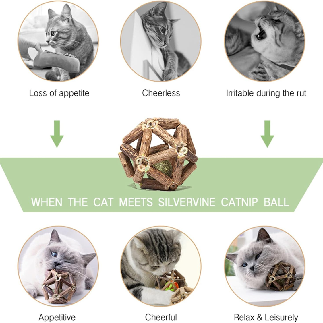 Pelota de Ciprés Plateado con Hierba del Gato Natural - Juguetes para Gatos Domésticos - Herramientas para Limpiar Dientes y Muelas — imagen 7