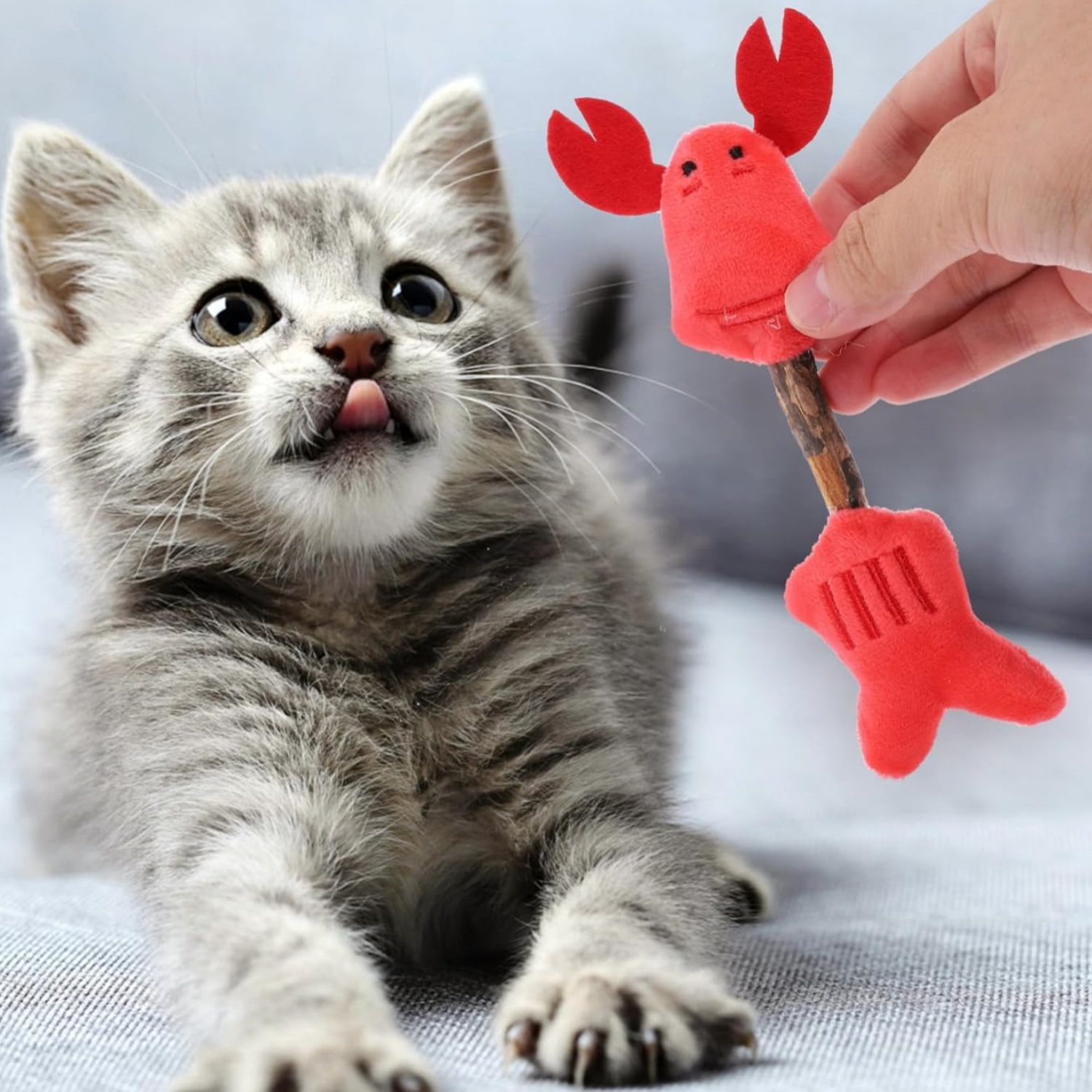 Cat Toy Kitten Toys Teeth Cleaning Toys Silvervine Sticks Cat Silvervine Stick Chew Sticks For Cats Cat Interaction Toys Kitten Plaything Cat Teaser Polygonum Wood The Cat — image 6