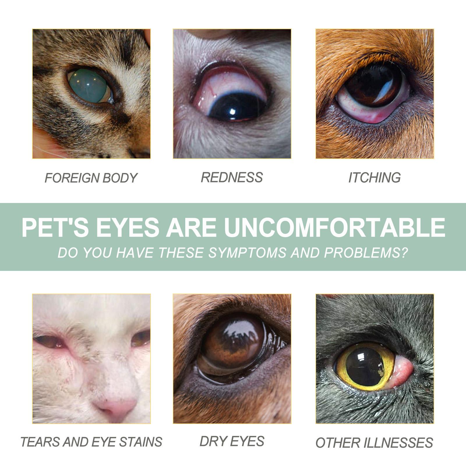 Pet Eye Drops For Dogs & Cats, Gentle Eye Cleaner With Honeysuckle Oil & Blueberry Extract, Soothes Irritation, Tear Stain Remover For Pet Daily Eye Care — image 10