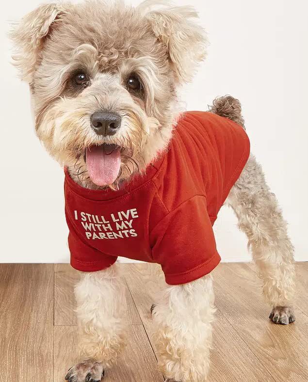 Ropa para Mascotas Camiseta de Cuello Redondo — imagen 6