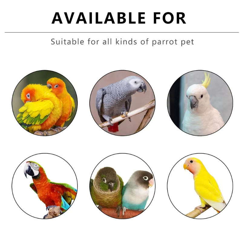 8pcs Parrot Perch Stand Bird Play Gym Parakeet Climbing Exercise Ladder for Birds Wooden Climbing Ladder Swing — image 2