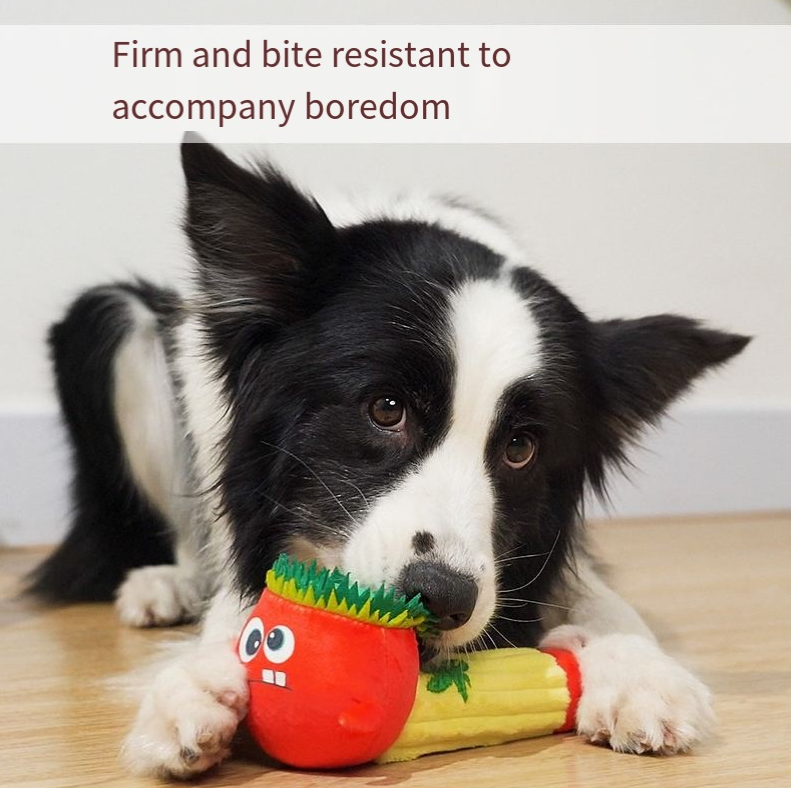 Pet dog puzzle toy bite resistant pipe doll small and medium-sized dog plush sound toy — image 4