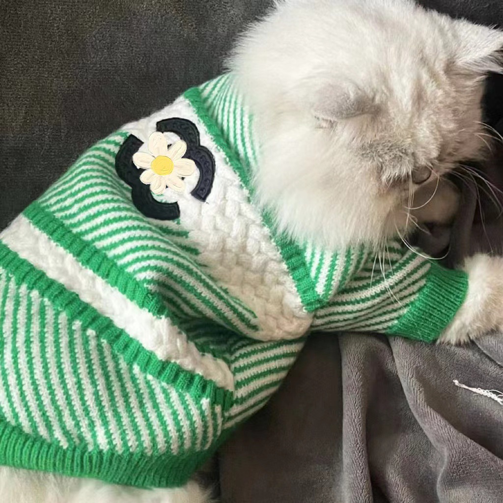 Suéter Nuevo de Otoño e Invierno para Mascotas, Cálido y Acolchado, Ropa para Perros y Gatos, Estilo Bichón/Teddy — imagen 2