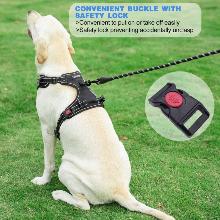 No Pull Dog Harness Adjustable Reflective Oxford Easy Control Medium Large Dog Harness With A Free Heavy Duty 5ft Dog Leash, Blue, M — image 2