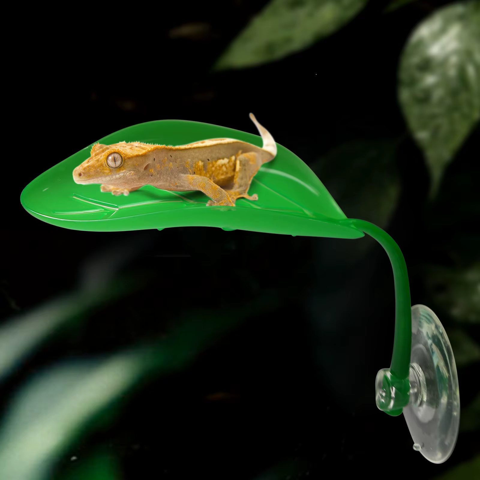 5pcs, simulated plant leaves with suction cups, suitable for geckos, chameleons, frogs to climb and inhabit — image 2